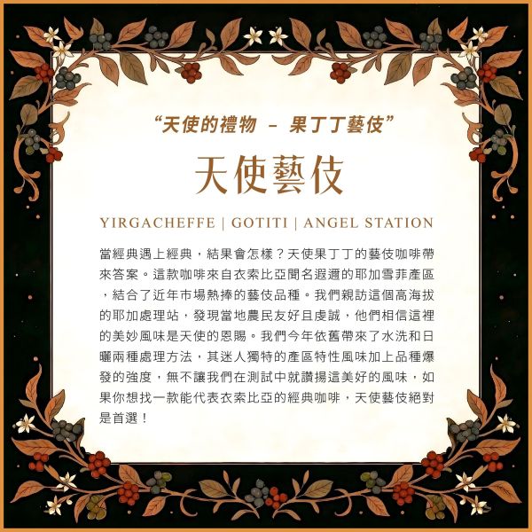 2026 日曬天使藝伎 | 衣索比亞 | 耶加雪菲 | 果丁丁 | 紅圈計畫 咖啡生豆,衣索比亞,果丁丁,天使藝伎,日曬,頂級G1藝伎