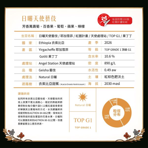 2026 日曬天使藝伎 | 衣索比亞 | 耶加雪菲 | 果丁丁 | 紅圈計畫 咖啡生豆,衣索比亞,果丁丁,天使藝伎,日曬,頂級G1藝伎