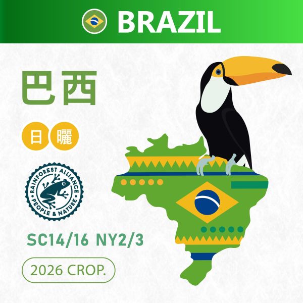 2026 巴西 NY2/3 SC14/16 日曬 RFA 雨林認證 巴西,日曬,咖啡生豆,咖啡豆,配方豆,商業豆,雨林認證