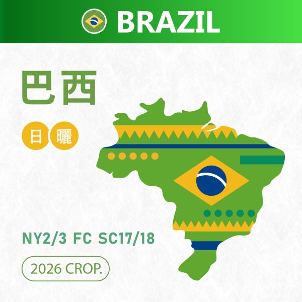 2026 巴西 NY2/3 FC SC17/18 日曬 巴西,日曬,NY2/3 FC SC17/18,咖啡生豆,咖啡豆,配方豆,商業豆
