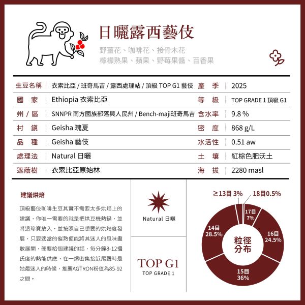 2025 日曬露西藝伎 | 衣索比亞 | 班奇馬吉 | 露西處理站 | 日曬 | 頂級G1藝伎 咖啡生豆,衣索比亞,班奇馬吉,露西處理站,日曬,頂級G1藝伎LUCY