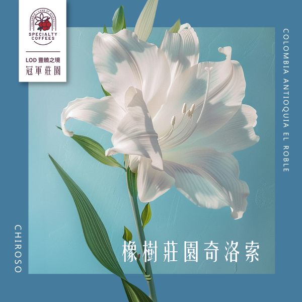 2025 哥倫比亞 | 安蒂奧 | 橡樹莊園 | 水洗奇洛索 | LOD 冠軍莊園 哥倫比亞,安蒂奧,橡樹莊園,水洗奇洛索,咖啡生豆 咖啡豆,配方豆,LOD豐饒之境冠軍莊園,精品豆,競標