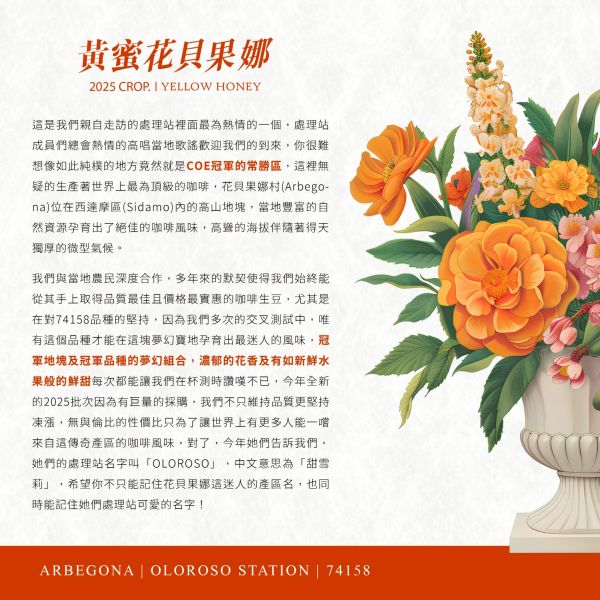 2025 黃蜜花貝果娜 | 紅圈計畫 | 黃蜜 | 西達摩 | 74158 | TOP G1 黃蜜花貝果娜,Arbegona,西達摩,74158,黃蜜,咖啡生豆,紅圈計畫 ,2025