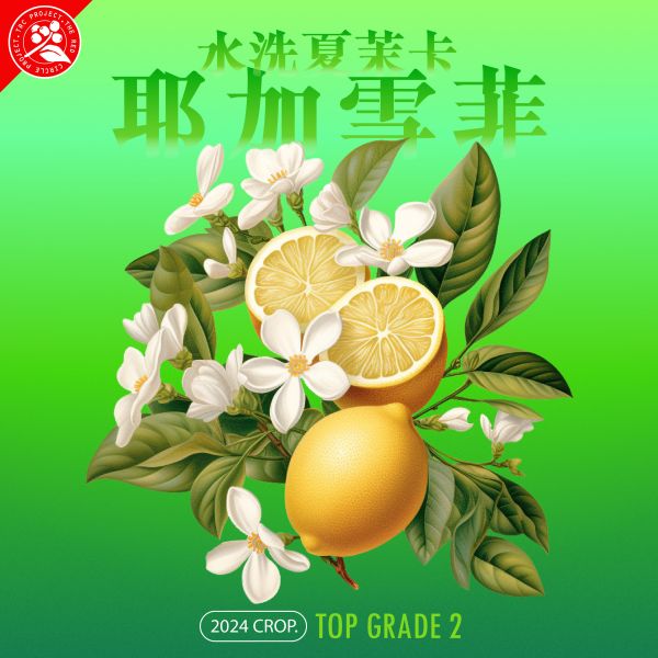 2024 水洗夏茉卡 | TOP G2 | 紅圈計畫 | 耶加雪菲 | 74110 | 水洗 | 頂級 G2 咖啡生豆,衣索比亞,TOP G2,耶加雪菲,YIRGACHEFFE,水洗 74110,2023,紅圈計畫