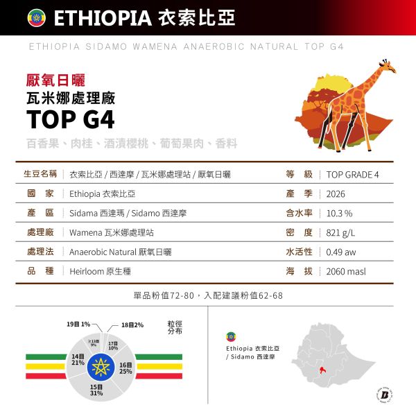 2026 衣索比亞 | TOP G4 | 厭氧日曬 | 瓦米娜處理站 Wamena | Sidamo 西達摩 衣索比亞,瓦米娜處理站,Wamena,厭氧日曬,TOP G4,Sidamo,西達摩,Heirloom,原生種,咖啡生豆,咖啡豆,配方豆 商業豆