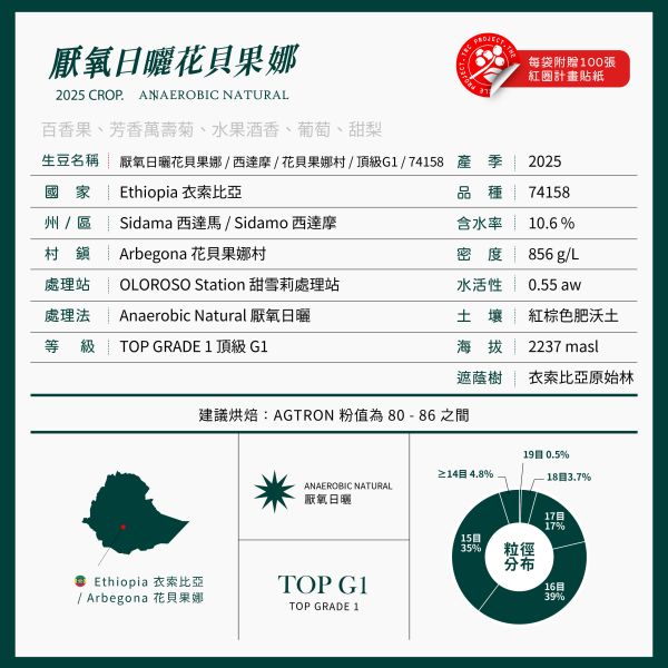 2025 厭氧日曬花貝果娜 | 紅圈計畫 | 厭氧日曬 | 西達摩 | 74158 | TOP G1 厭氧日曬花貝果娜,Arbegona,西達摩,74158,Anaerobic Natural,厭氧日曬,咖啡生豆,紅圈計畫 ,2025