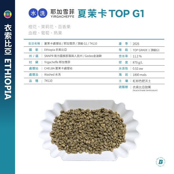 2025 水洗夏茉卡 | TOP G1 | 紅圈計畫 | 耶加雪菲 | 74110 | 水洗 | 頂級 G1 咖啡生豆,衣索比亞,G1,耶加雪菲,YIRGACHEFFE,水洗 74110,2025,紅圈計畫