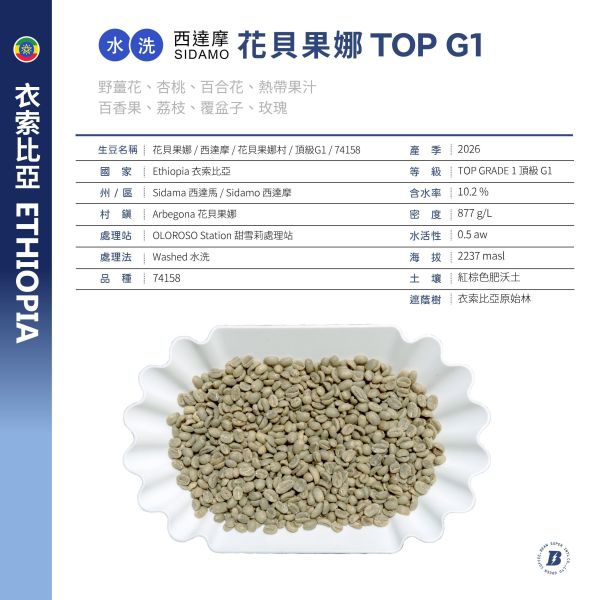 2026 水洗花貝果娜 | 紅圈計畫 | 水洗 | 西達摩 | 74158 | TOP G1 花貝果娜,Arbegona,西達摩,74158,咖啡生豆,紅圈計畫 ,2026