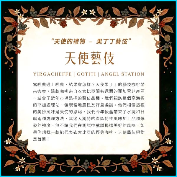 2026 水洗天使藝伎 | 衣索比亞 | 耶加雪菲 | 果丁丁 | 紅圈計畫 咖啡生豆,衣索比亞,果丁丁,天使藝伎水洗,頂級G1藝伎