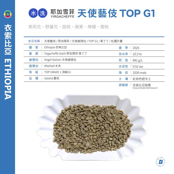 2025 水洗天使藝伎 | 衣索比亞 | 耶加雪菲 | 果丁丁 | 紅圈計畫 咖啡生豆,衣索比亞,果丁丁,天使藝伎水洗,頂級G1藝伎
