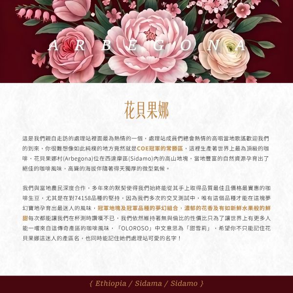 2026 日曬花貝果娜 | 紅圈計畫 | 日曬 | 西達摩 | 74158 |  TOP G1 花貝果娜,Arbegona,西達摩,74158,咖啡生豆,紅圈計畫 ,2026