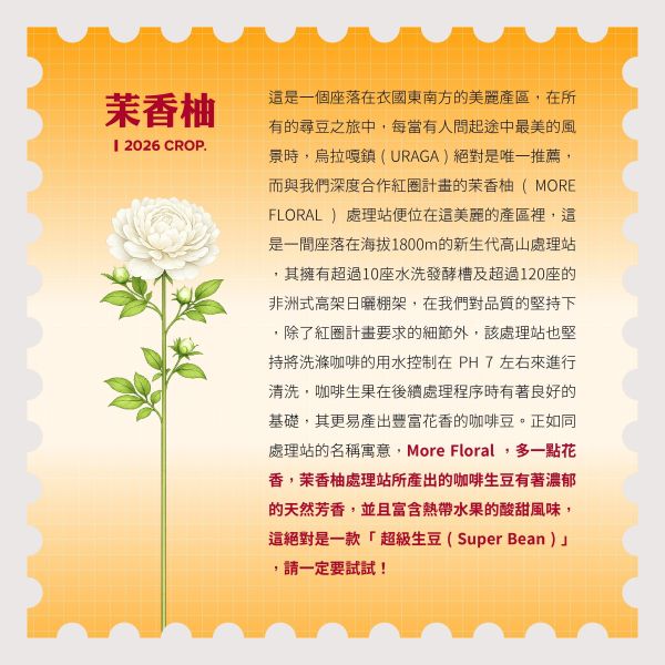 2026 日曬茉香柚 | 紅圈計畫  | 烏拉嘎 | TOP G1 | 可如蜜 咖啡生豆,衣索比亞,G1,日曬茉香柚,可如蜜茉香柚,烏拉嘎,茉香柚處理站,紅圈計畫