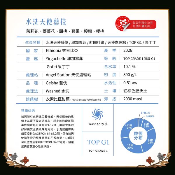 2026 水洗天使藝伎 | 衣索比亞 | 耶加雪菲 | 果丁丁 | 紅圈計畫 咖啡生豆,衣索比亞,果丁丁,天使藝伎水洗,頂級G1藝伎
