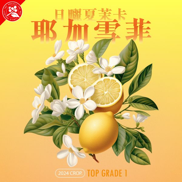 2024 日曬夏茉卡 | TOP G1 | 紅圈計畫 | 耶加雪菲 | 2023新批次 | 74110 | 日曬 | 頂級 G1 咖啡生豆,衣索比亞,G1,耶加雪菲,YIRGACHEFFE,日曬74110,2023,紅圈計畫