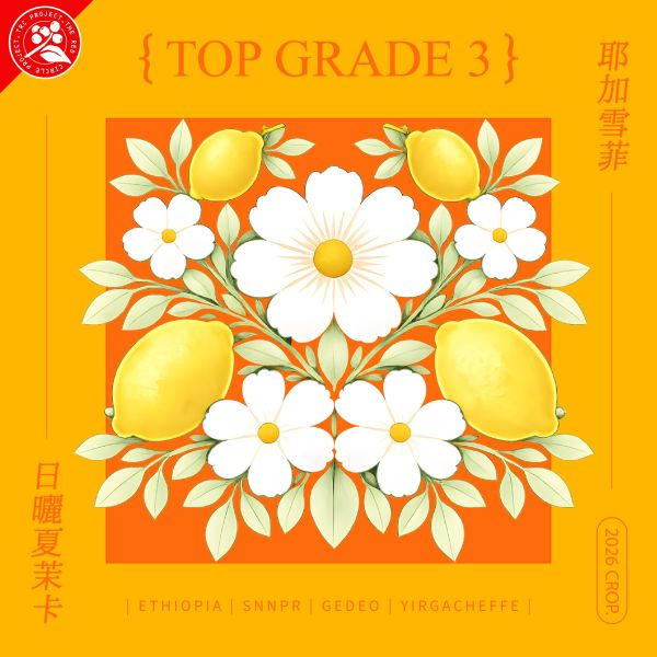 2026 日曬夏茉卡 | TOP G3 | 紅圈計畫 | 耶加雪菲 | 74110 | 日曬 | 頂級 G3 2025,咖啡生豆,衣索比亞,G3,耶加雪菲,YIRGACHEFFE,日曬74110,2023,紅圈計畫