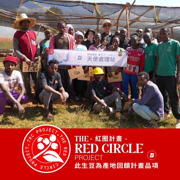 2026 水洗天使藝伎 | 衣索比亞 | 耶加雪菲 | 果丁丁 | 紅圈計畫 咖啡生豆,衣索比亞,果丁丁,天使藝伎水洗,頂級G1藝伎