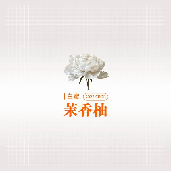 2025 白蜜茉香柚 | 紅圈計畫 | 烏拉嘎 | TOP G1 | 可如蜜 咖啡生豆,衣索比亞,G1,白蜜茉香柚 White Honey,白蜜,可如蜜茉香柚,烏拉嘎,茉香柚處理站,紅圈計畫