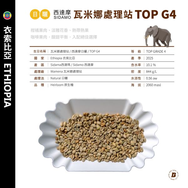 2025 衣索比亞 | TOP G4 | 日曬 | 瓦米娜處理站 Wamena | Sidamo 西達摩 衣索比亞,瓦米娜處理站,Wamena,日曬,TOP G4,Sidamo,西達摩,Heirloom,原生種,咖啡生豆,咖啡豆,配方豆 商業豆