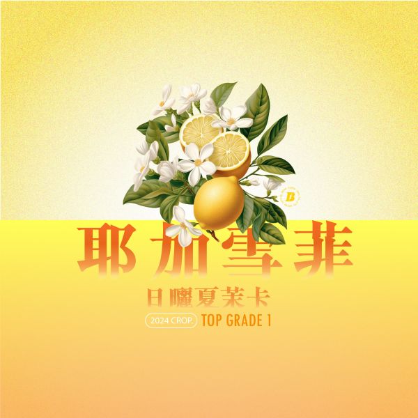 2024 日曬夏茉卡 | TOP G1 | 紅圈計畫 | 耶加雪菲 | 2023新批次 | 74110 | 日曬 | 頂級 G1 咖啡生豆,衣索比亞,G1,耶加雪菲,YIRGACHEFFE,日曬74110,2023,紅圈計畫