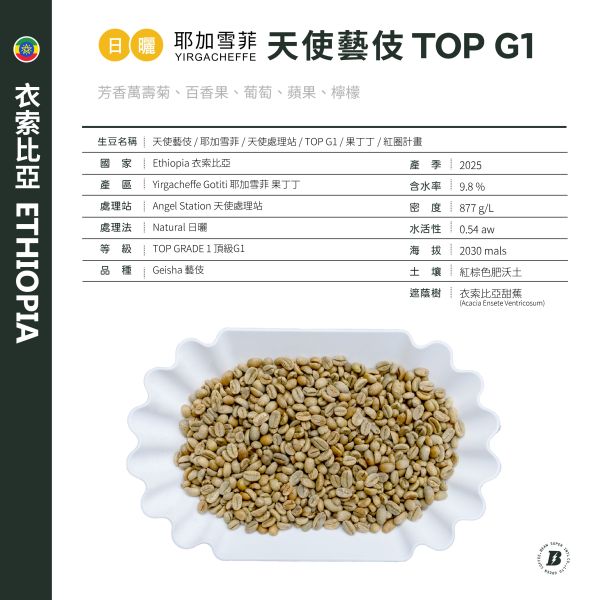 2025 日曬天使藝伎 | 衣索比亞 | 耶加雪菲 | 果丁丁 | 紅圈計畫 咖啡生豆,衣索比亞,果丁丁,天使藝伎,日曬,頂級G1藝伎