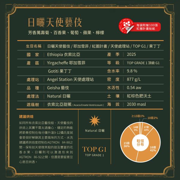2025 日曬天使藝伎 | 衣索比亞 | 耶加雪菲 | 果丁丁 | 紅圈計畫 咖啡生豆,衣索比亞,果丁丁,天使藝伎,日曬,頂級G1藝伎