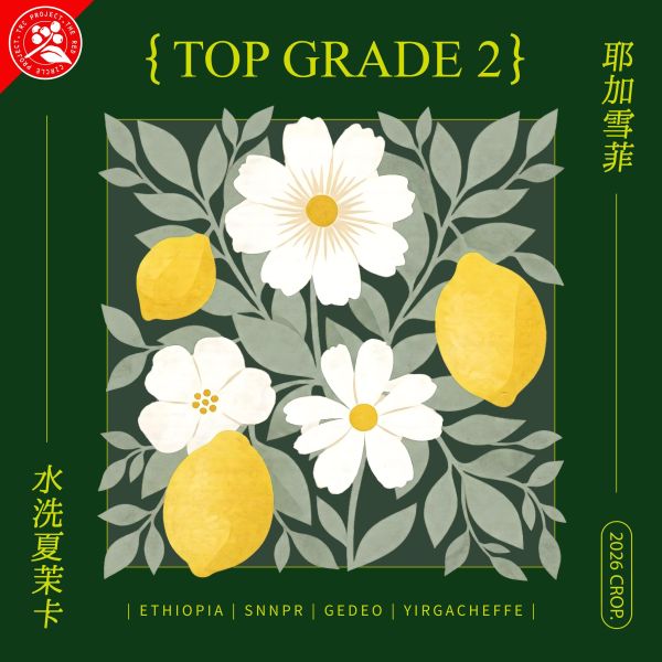 2026 水洗夏茉卡 | TOP G2 | 紅圈計畫 | 耶加雪菲 | 74110 | 水洗 | 頂級 G2 咖啡生豆,衣索比亞,TOP G2,耶加雪菲,YIRGACHEFFE,水洗 74110,2025,紅圈計畫