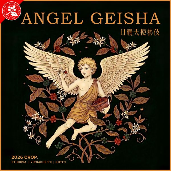 2026 日曬天使藝伎 | 衣索比亞 | 耶加雪菲 | 果丁丁 | 紅圈計畫 咖啡生豆,衣索比亞,果丁丁,天使藝伎,日曬,頂級G1藝伎
