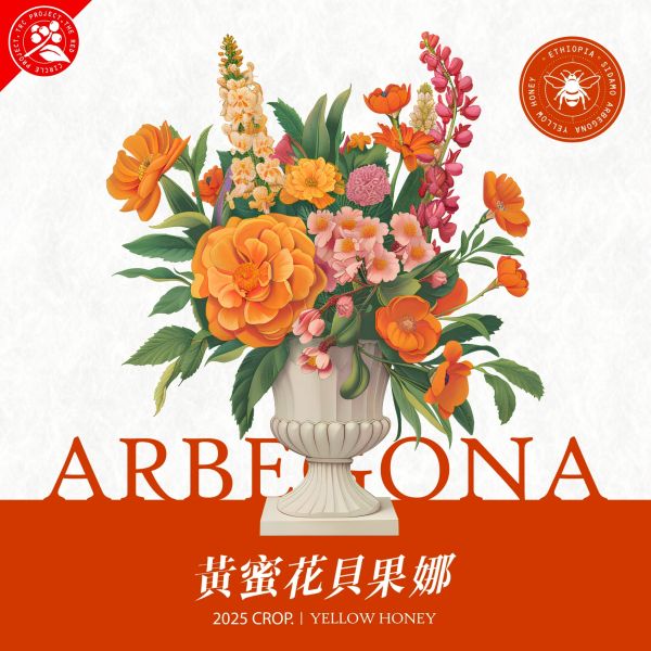 2025 黃蜜花貝果娜 | 紅圈計畫 | 黃蜜 | 西達摩 | 74158 | TOP G1 黃蜜花貝果娜,Arbegona,西達摩,74158,黃蜜,咖啡生豆,紅圈計畫 ,2025