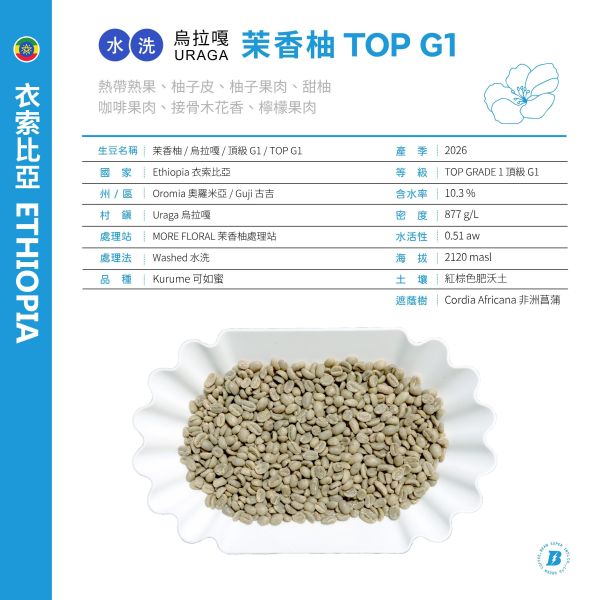 2026 水洗茉香柚 | 紅圈計畫 | 烏拉嘎 | TOP G1 | 可如蜜 咖啡生豆,衣索比亞,G1,水洗茉香柚 Washed,水洗,可如蜜茉香柚,烏拉嘎,茉香柚處理站,紅圈計畫