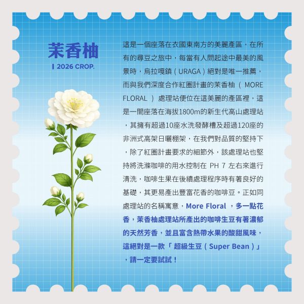 2026 水洗茉香柚 | 紅圈計畫 | 烏拉嘎 | TOP G1 | 可如蜜 咖啡生豆,衣索比亞,G1,水洗茉香柚 Washed,水洗,可如蜜茉香柚,烏拉嘎,茉香柚處理站,紅圈計畫