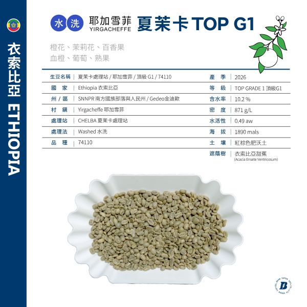 2026 水洗夏茉卡 | TOP G1 | 紅圈計畫 | 耶加雪菲 | 74110 | 水洗 | 頂級 G1 咖啡生豆,衣索比亞,G1,耶加雪菲,YIRGACHEFFE,水洗 74110,2025,紅圈計畫