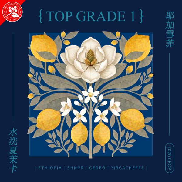 2026 水洗夏茉卡 | TOP G1 | 紅圈計畫 | 耶加雪菲 | 74110 | 水洗 | 頂級 G1 咖啡生豆,衣索比亞,G1,耶加雪菲,YIRGACHEFFE,水洗 74110,2025,紅圈計畫