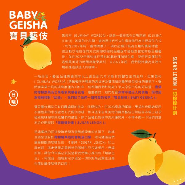 2026 日曬寶貝藝伎 | 日曬 | 吉瑪莉姆 | 果美村 | 甜檸檬計畫 咖啡生豆 衣索比亞 TOP G1 寶貝藝伎 NATURAL 日曬 Baby Geisha 2025