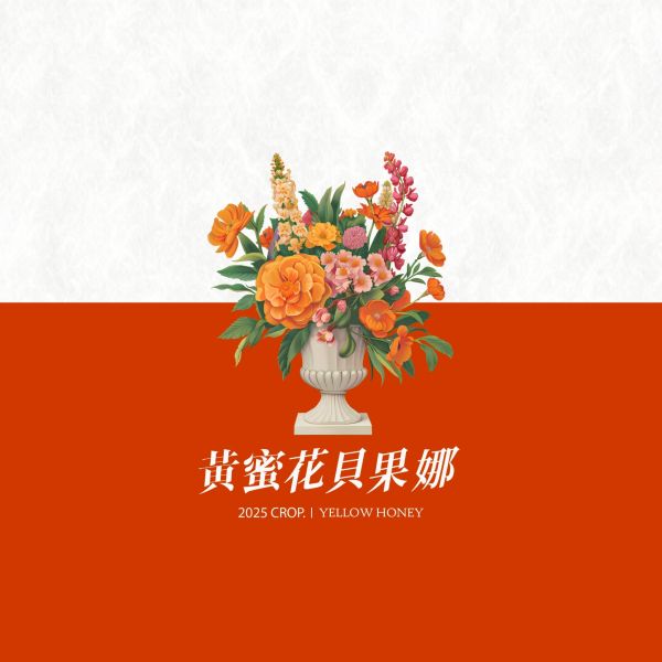 2025 黃蜜花貝果娜 | 紅圈計畫 | 黃蜜 | 西達摩 | 74158 | TOP G1 黃蜜花貝果娜,Arbegona,西達摩,74158,黃蜜,咖啡生豆,紅圈計畫 ,2025