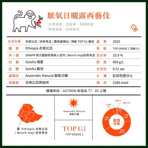 2025 厭氧日曬露西藝伎 | 衣索比亞 | 班奇馬吉 | 露西處理站 | 厭氧日曬 | 頂級G1藝伎 咖啡生豆,衣索比亞,班奇馬吉,露西處理站,厭氧日曬,頂級G1藝伎LUCY