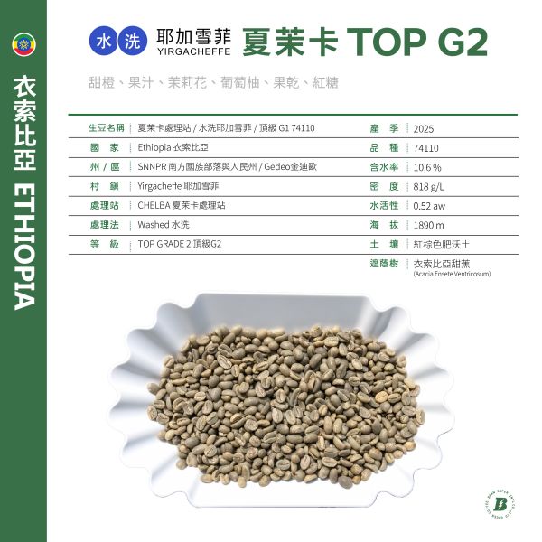 2025 水洗夏茉卡 | TOP G2 | 紅圈計畫 | 耶加雪菲 | 74110 | 水洗 | 頂級 G2 咖啡生豆,衣索比亞,TOP G2,耶加雪菲,YIRGACHEFFE,水洗 74110,2025,紅圈計畫