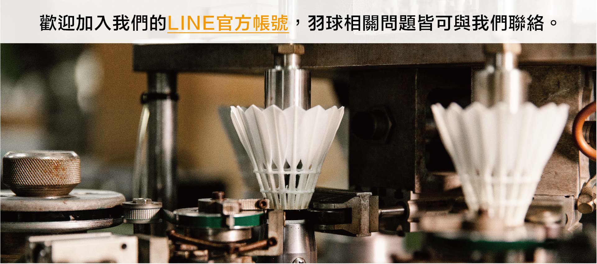 歡迎加入LINE官方帳號