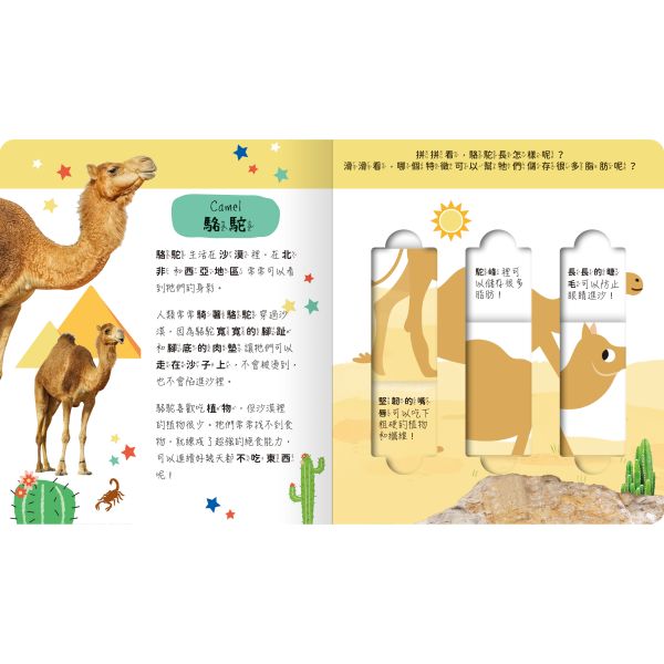 【買一送一】lovely puzzle-沙漠動物園 