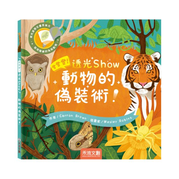 登登登！透光Show 動物的偽裝術！ 