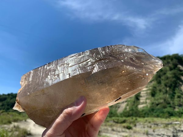 茶黃晶教堂骨幹水晶 骨幹,原礦,教堂水晶,黃水晶