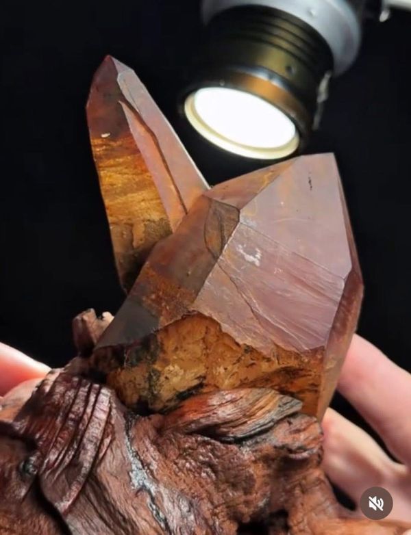 尼泊爾黃金喜馬拉雅•橋樑水晶 喜馬拉雅水晶,橋樑水晶,尼泊爾水晶,黃金水晶,天然水晶原礦,Bridge Quartz,水晶原礦,礦石收藏,能量水晶,稀有水晶,收藏級水晶。