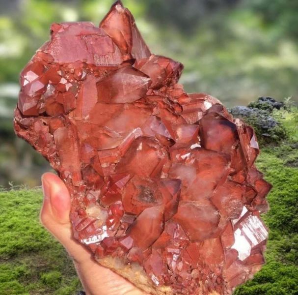 艾希斯紅幽靈骨幹水晶 紅幽靈水晶,艾希斯水晶,骨幹水晶,紅幽靈骨幹,天然紅幽靈,幽靈水晶,I​sis Crystal,Skeleton Quartz,能量水晶,水晶原礦,稀有水晶