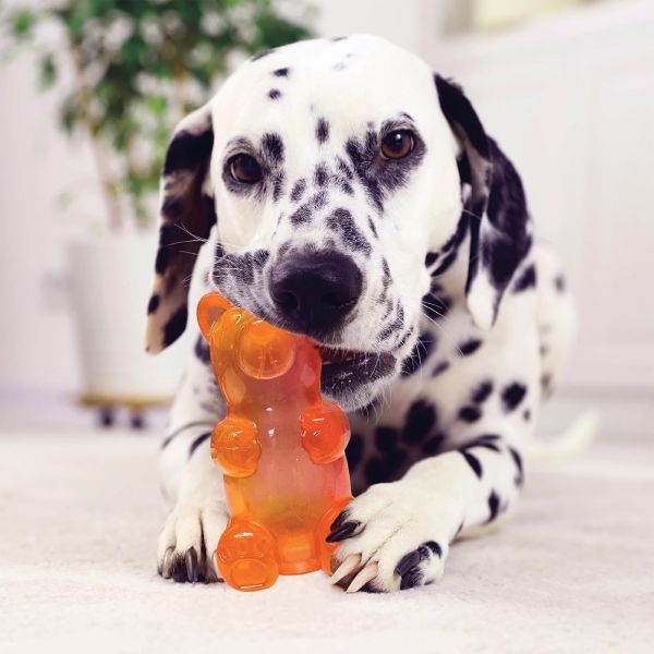 Spunky Pup | 小熊軟糖啾啾玩具 