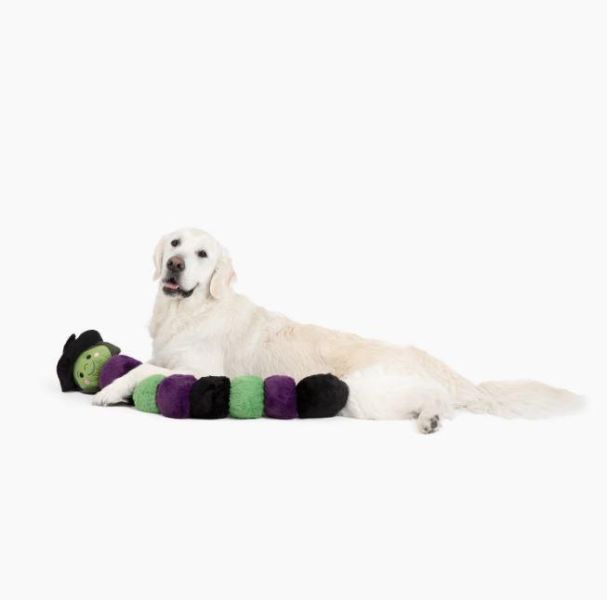 PatchWorkPet | 超大萬聖節女巫毛毛蟲玩具 