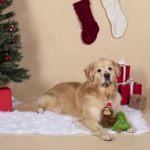 Petshop | 聖誕樹樹懶啾啾玩偶 