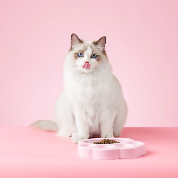 PetDreamHouse | PAW 飯來掌口系列-喵星人 寵物樂趣享食盤 