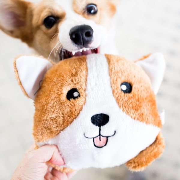 ZippyPaws | 狗狗造型啾啾玩偶 