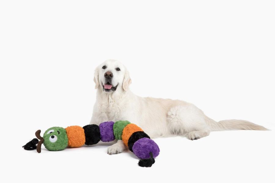 PatchWorkPet | 超大萬聖節毛毛蟲玩具 