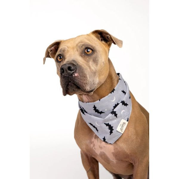 The Paws Bats/Nights 萬聖節系列 三角領巾 