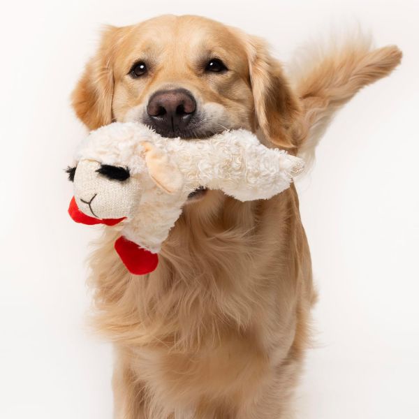 Multipet | Lamb Chop® 長睫毛綿羊啾啾玩偶 